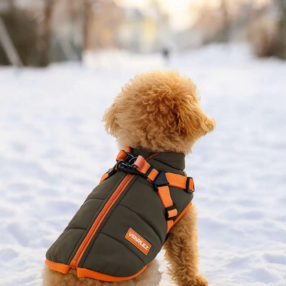 Manteau Chien Hiver Doux et Imperméable
