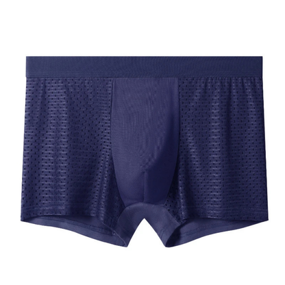 Boxers Homme Respirants et Légers en Soie Glaciée