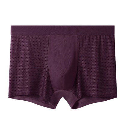 Boxers Homme Respirants et Légers en Soie Glaciée
