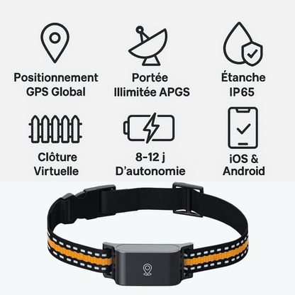 Marcherelle™ – Collier GPS Chien Sans Abonnement, Suivi en Temps Réel