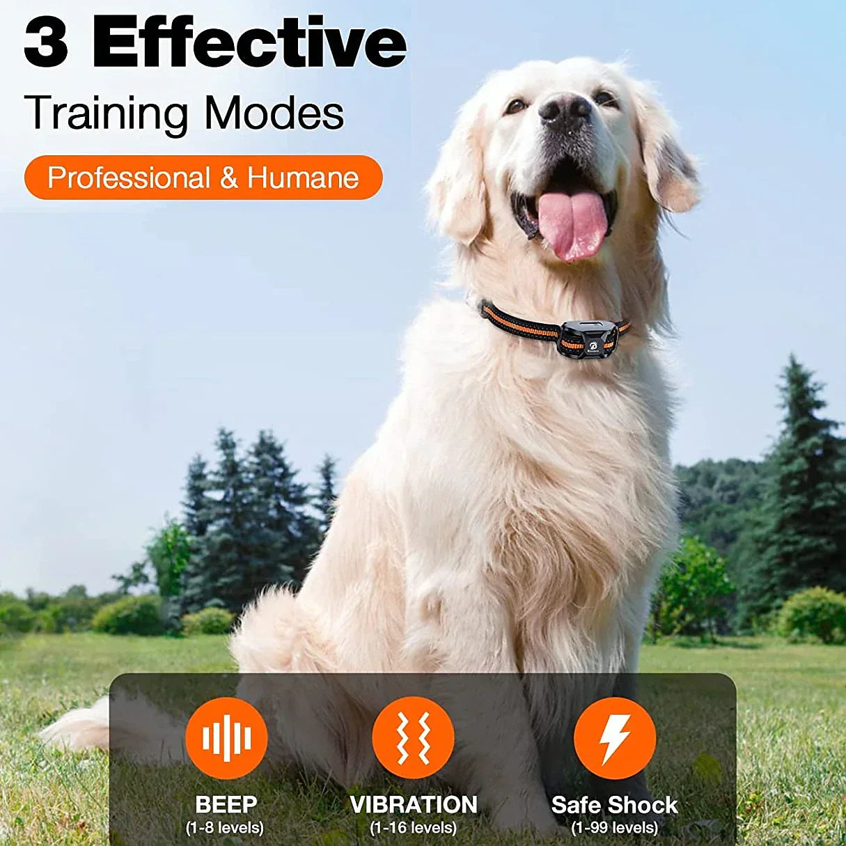Marcherelle™ – Collier de Dressage Chien, Étanche avec 3 Modes Réglables