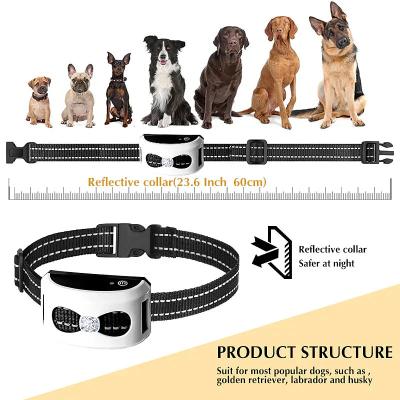 Marcherelle™ – Collier de Dressage & Clôture Sans Fil 2-en-1 pour Chien