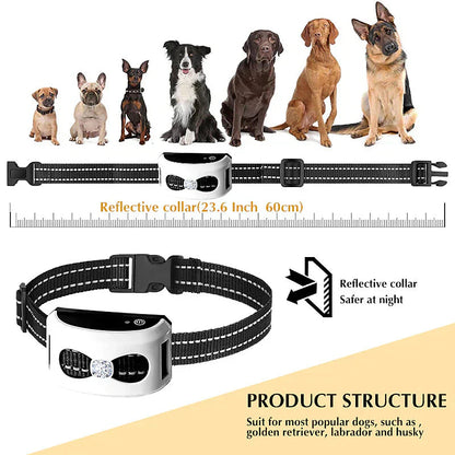 Marcherelle™ – Collier de Dressage & Clôture Sans Fil 2-en-1 pour Chien