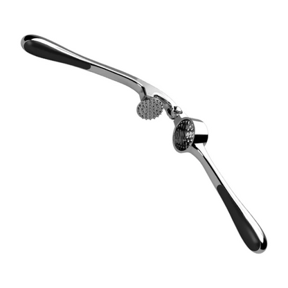 Presse Ail Manuelle Acier Inoxydable Robuste