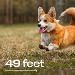 Répulsif Canin Ultrason Puissant à Portée Étendue